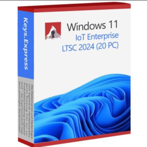 Windows 11 Enterprise LTSC 2024 20 PC