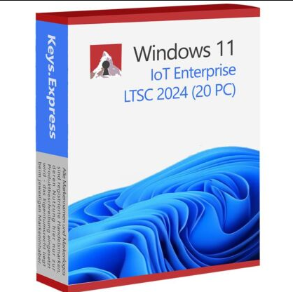 Windows 11 Enterprise LTSC 2024 20 PC