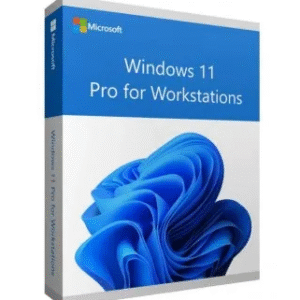 Windows 10/11 Professional N Workstation 1PC